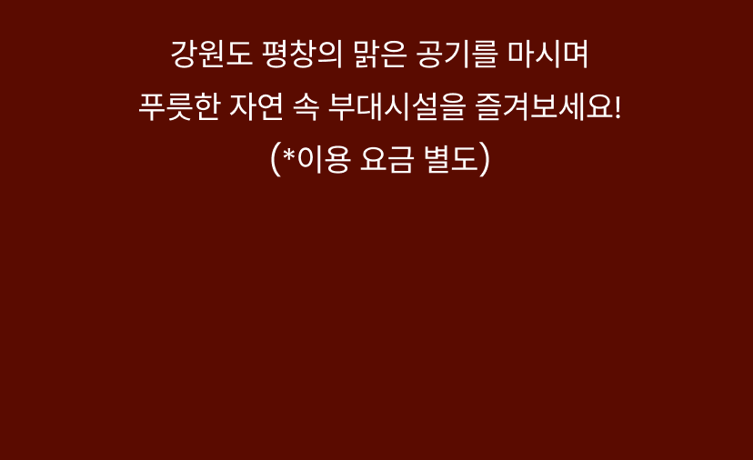 홀리데이 6.png